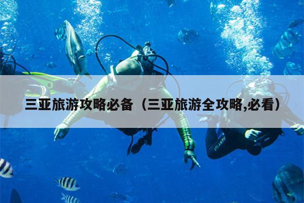 三亚旅游攻略必备（三亚旅游全攻略,必看）