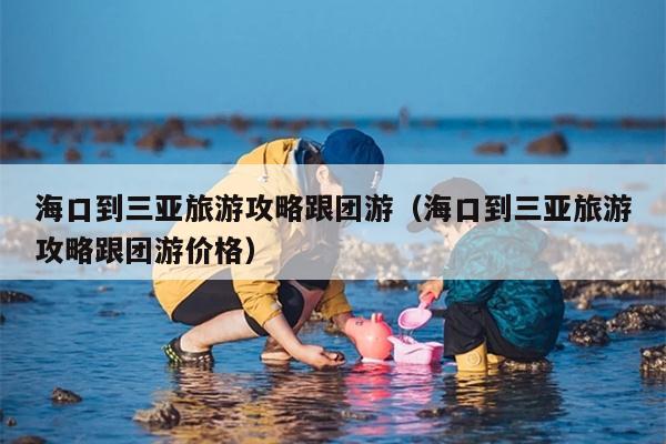 海口到三亚旅游攻略跟团游（海口到三亚旅游攻略跟团游价格）