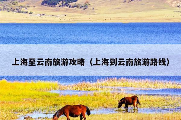 上海至云南旅游攻略（上海到云南旅游路线）