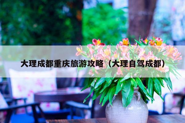 大理成都重庆旅游攻略（大理自驾成都）