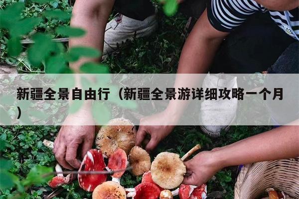 新疆全景自由行（新疆全景游详细攻略一个月）