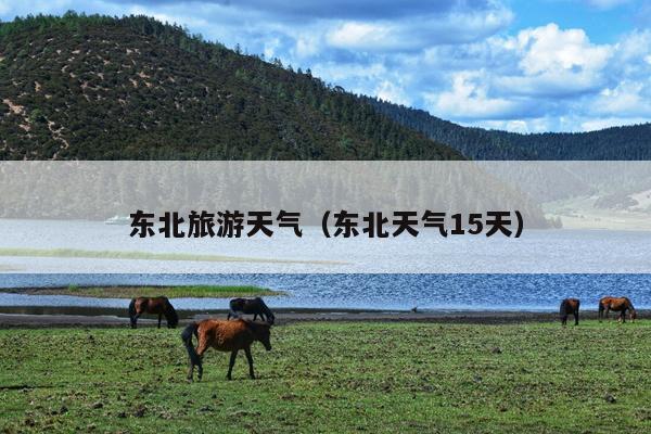 东北旅游天气（东北天气15天）