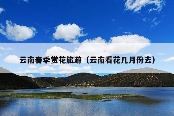 云南春季赏花旅游（云南看花几月份去）