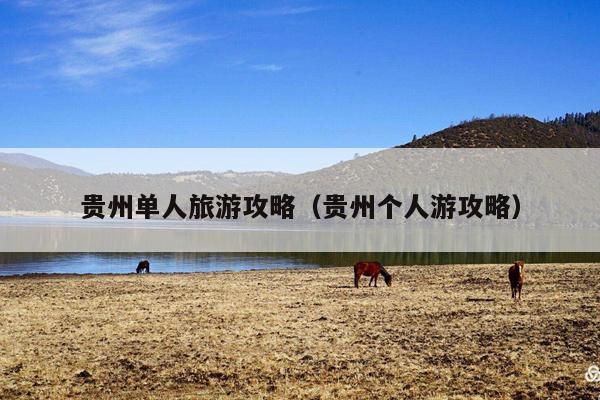 贵州单人旅游攻略（贵州个人游攻略）