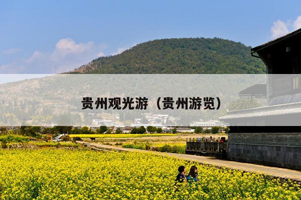 贵州观光游（贵州游览）