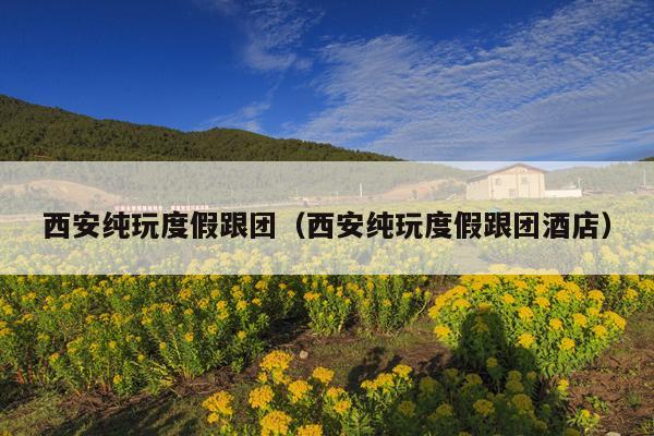 西安纯玩度假跟团（西安纯玩度假跟团酒店）