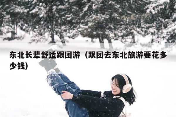 东北长辈舒适跟团游（跟团去东北旅游要花多少钱）