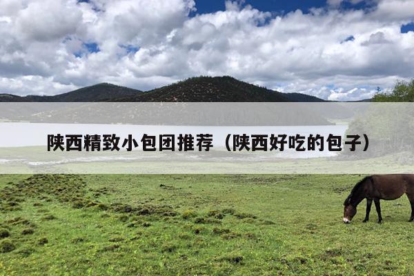 陕西精致小包团推荐（陕西好吃的包子）