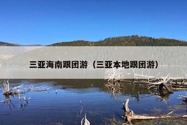 三亚海南跟团游（三亚本地跟团游）