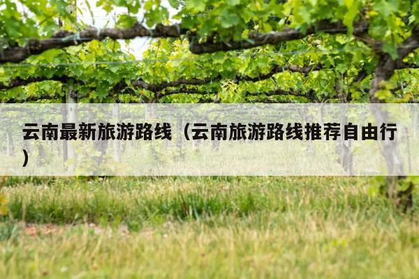 云南最新旅游路线（云南旅游路线推荐自由行）