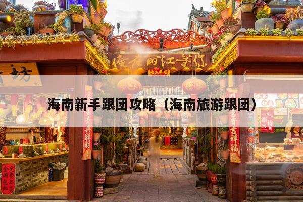 海南新手跟团攻略（海南旅游跟团）