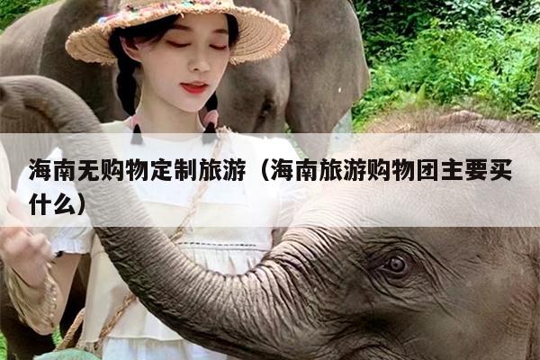 海南无购物定制旅游（海南旅游购物团主要买什么）