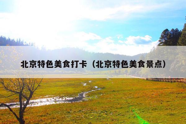 北京特色美食打卡(北京特色美食景点)