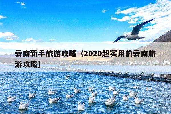 云南新手旅游攻略（2020超实用的云南旅游攻略）