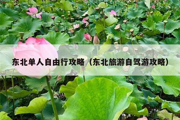 东北单人自由行攻略（东北旅游自驾游攻略）