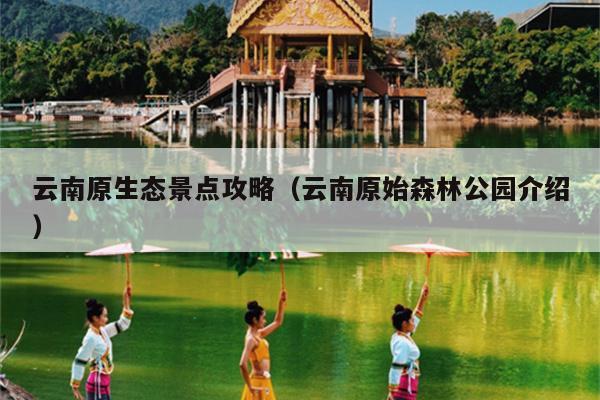 云南原生态景点攻略（云南原始森林公园介绍）