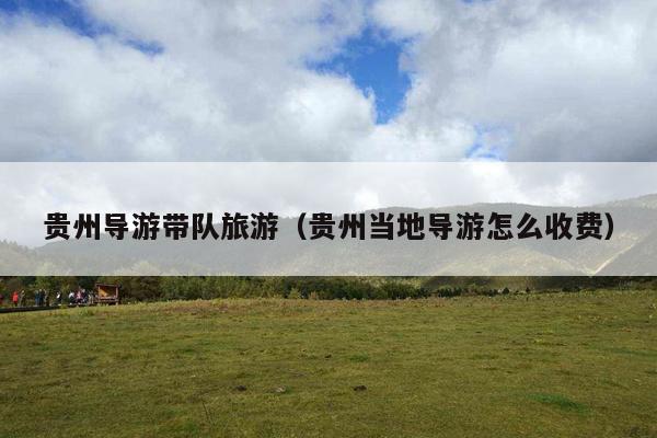 贵州导游带队旅游（贵州当地导游怎么收费）
