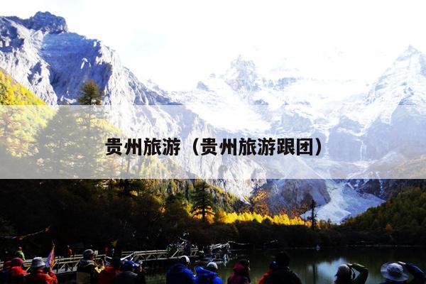 贵州旅游(贵州旅游跟团)