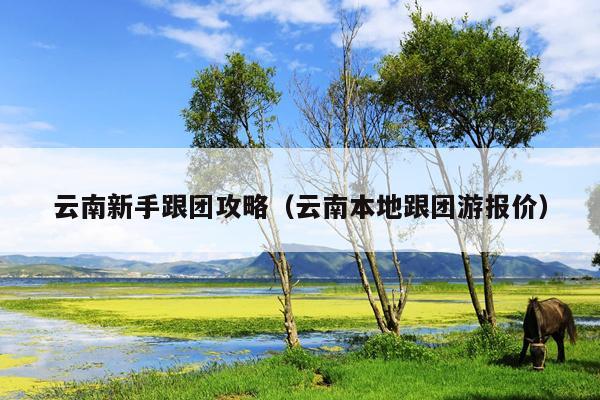 云南新手跟团攻略（云南本地跟团游报价）