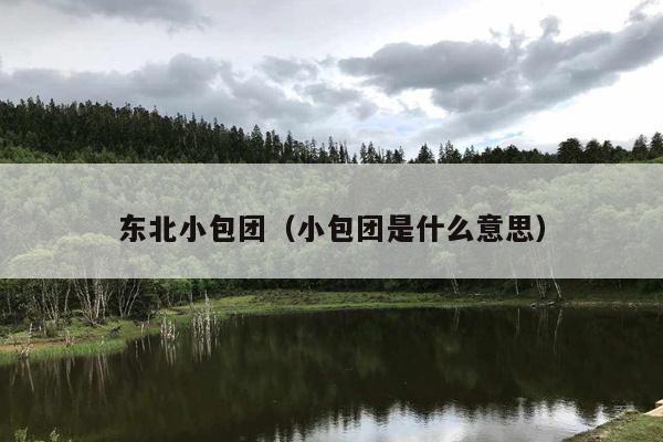 东北小包团（小包团是什么意思）