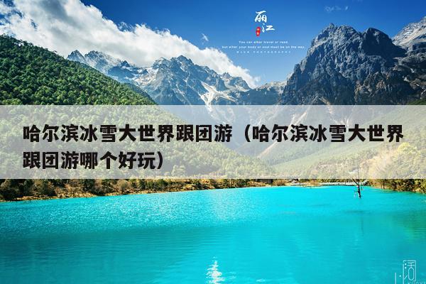 哈尔滨冰雪大世界跟团游（哈尔滨冰雪大世界跟团游哪个好玩）
