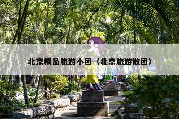 北京精品旅游小团（北京旅游散团）