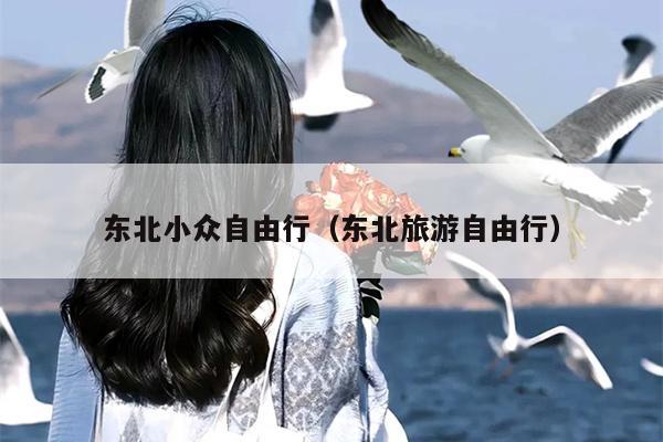 东北小众自由行（东北旅游自由行）