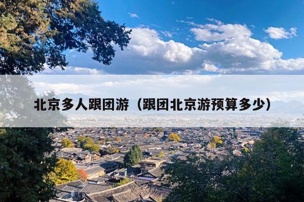 北京多人跟团游（跟团北京游预算多少）