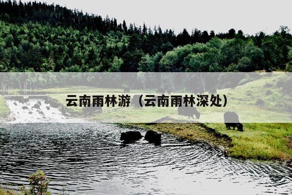 云南雨林游（云南雨林深处）