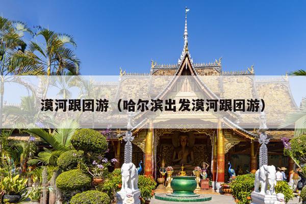 漠河跟团游（哈尔滨出发漠河跟团游）