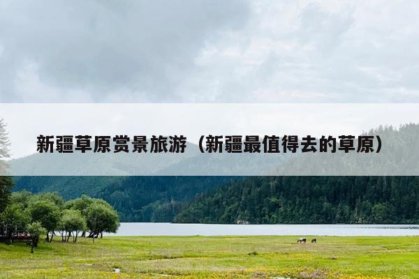 新疆草原赏景旅游（新疆最值得去的草原）