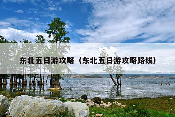 东北五日游攻略（东北五日游攻略路线）