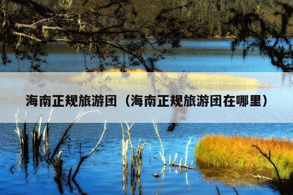 海南正规旅游团（海南正规旅游团在哪里）