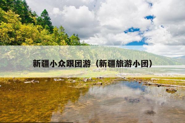 新疆小众跟团游（新疆旅游小团）