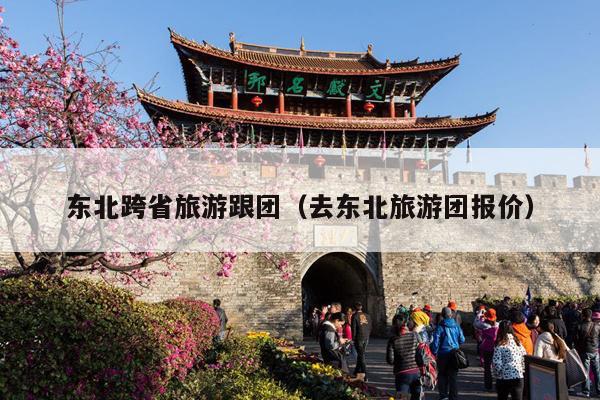 东北跨省旅游跟团（去东北旅游团报价）