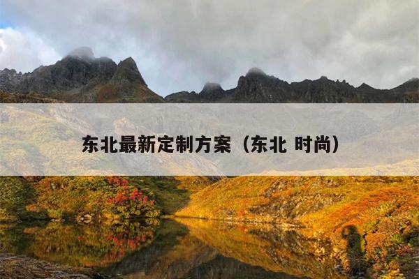 东北最新定制方案（东北 时尚）
