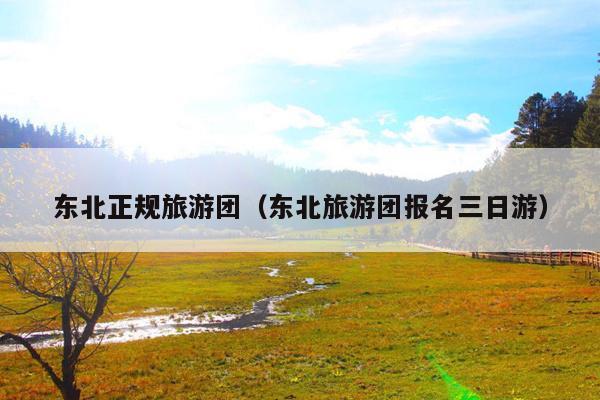 东北正规旅游团（东北旅游团报名三日游）