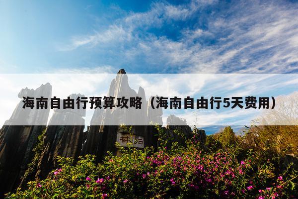海南自由行预算攻略（海南自由行5天费用）