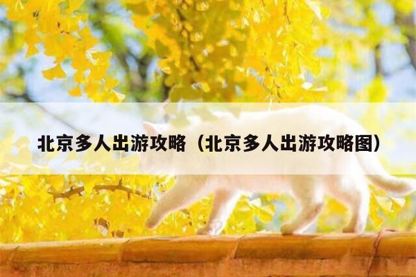 北京多人出游攻略（北京多人出游攻略图）