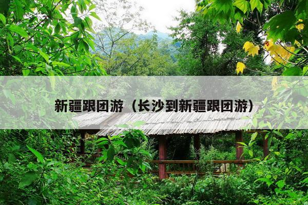 新疆跟团游(长沙到新疆跟团游)