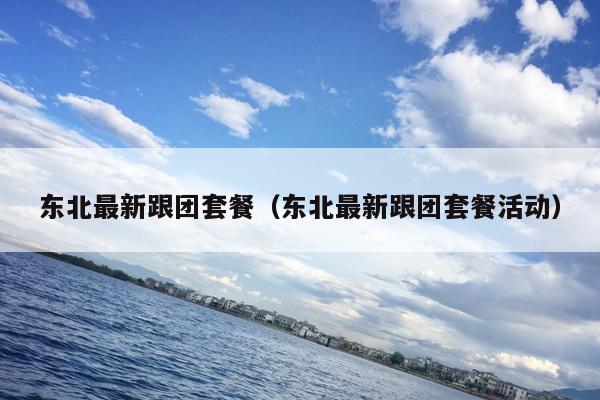 东北最新跟团套餐(东北最新跟团套餐活动)