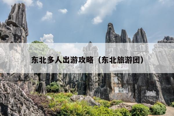 东北多人出游攻略（东北旅游团）