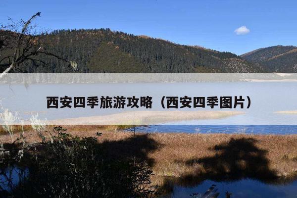 西安四季旅游攻略（西安四季图片）