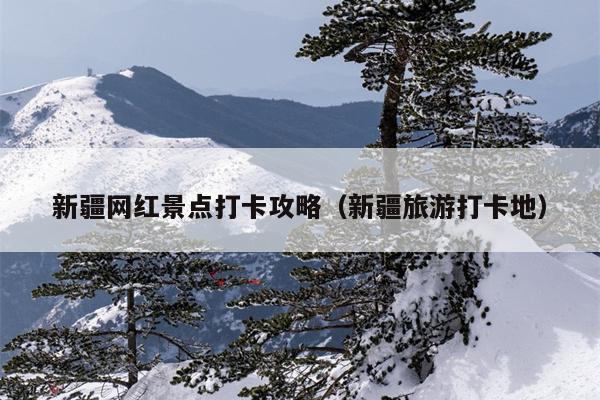 新疆网红景点打卡攻略（新疆旅游打卡地）
