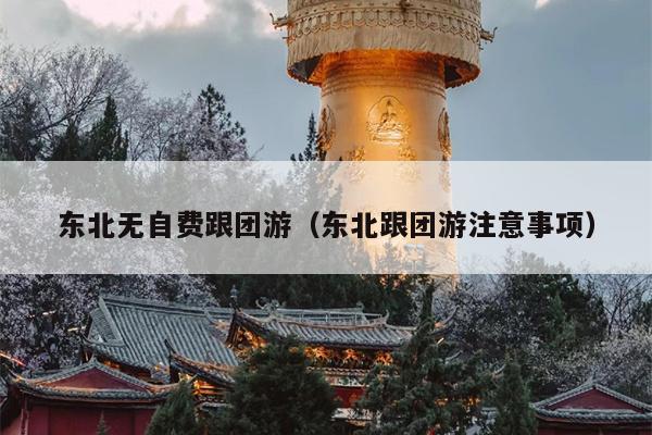 东北无自费跟团游（东北跟团游注意事项）