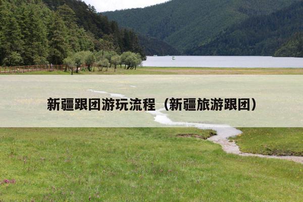 新疆跟团游玩流程（新疆旅游跟团）