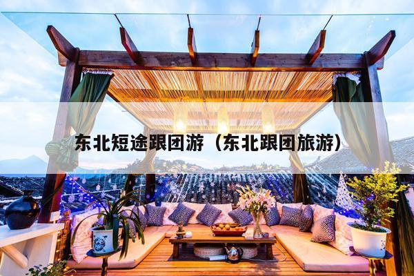 东北短途跟团游（东北跟团旅游）