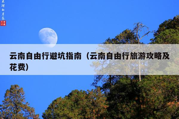 云南自由行避坑指南（云南自由行旅游攻略及花费）