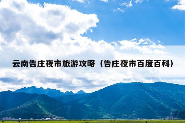 云南告庄夜市旅游攻略（告庄夜市百度百科）