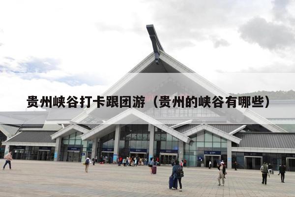 贵州峡谷打卡跟团游（贵州的峡谷有哪些）